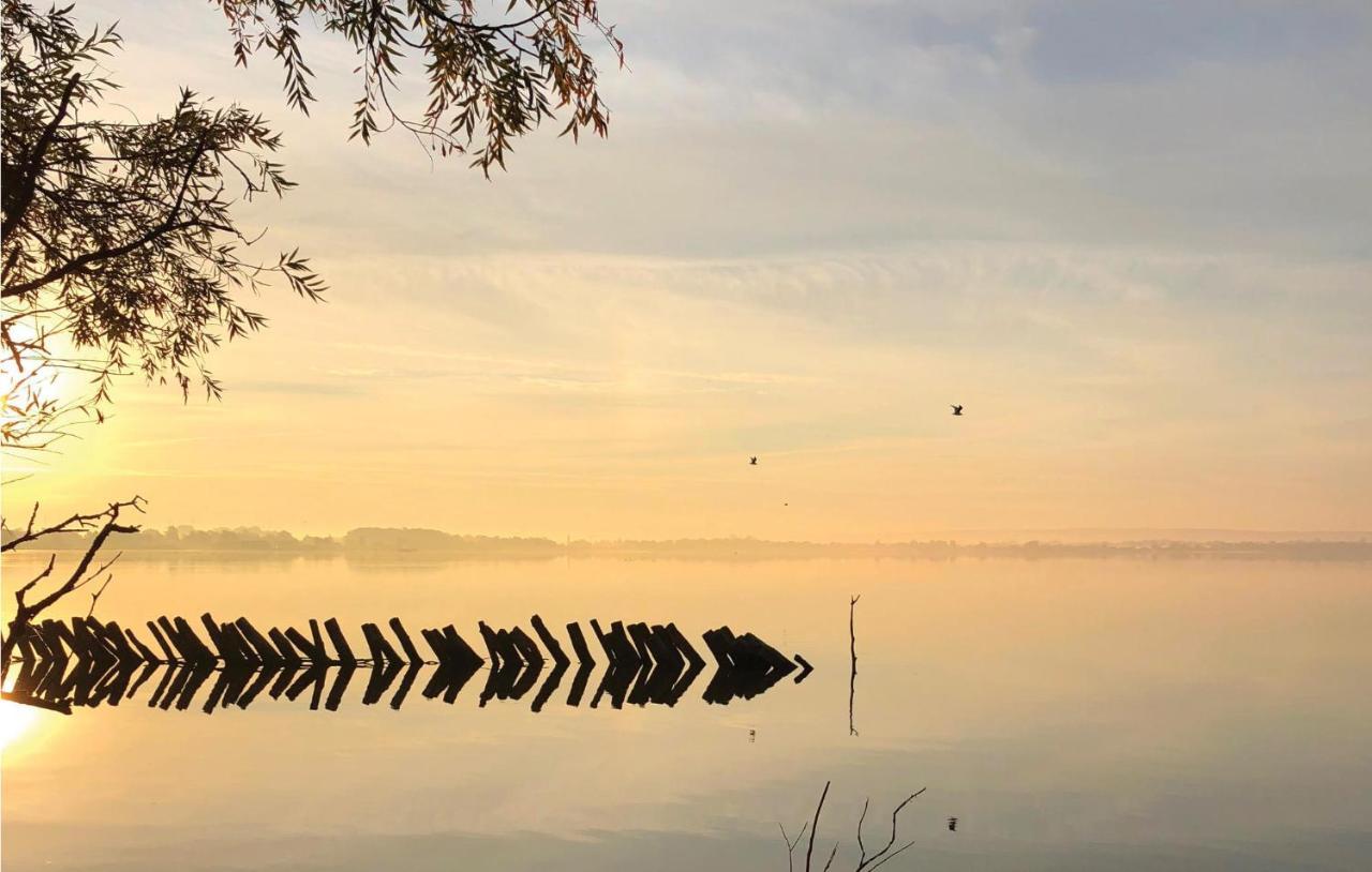 Nice Home In Lembruch-Duemmer See With Sauna Bagian luar foto
